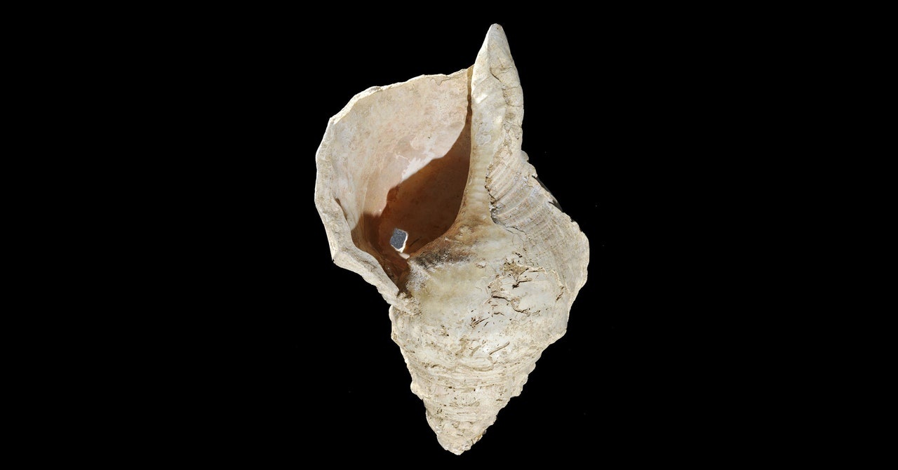 Day la am thanh tu nhac cu 18.000 nam tuoi hinh anh