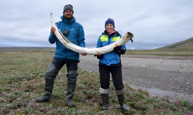 ADN voi ma mut co xua anh 1