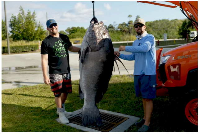 Cau duoc ca khong lo anh 1