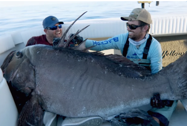 Ngu dan o My cau duoc ca khong lo nang 133 kg hinh anh