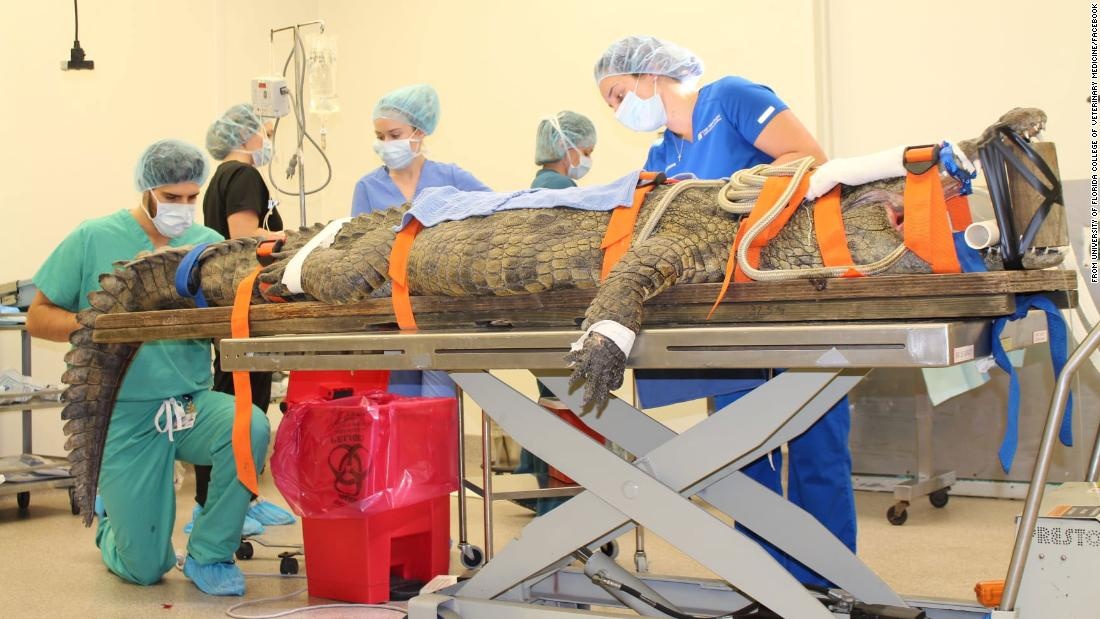 Phau thuat de lay giay khoi bung ca sau hinh anh