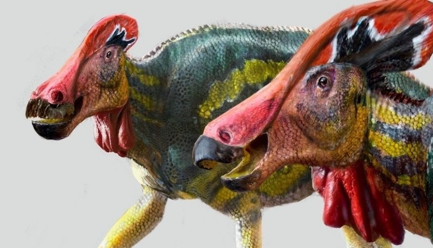 Phat hien hoa thach khung long con nguyen ven tu 73 trieu nam truoc hinh anh