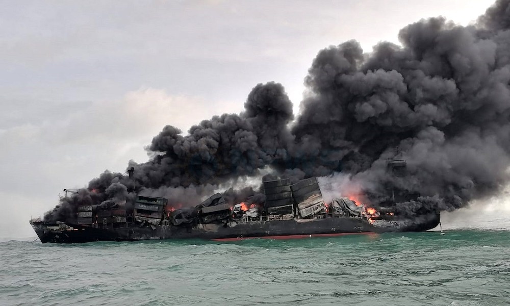 xac ca heo va rua bien dat vao bo bien sri lanka anh 1