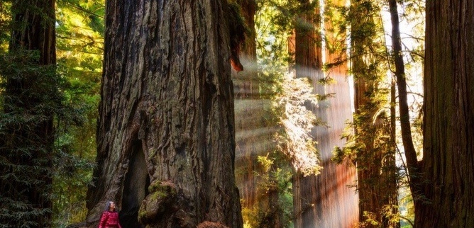 Ta lai hat nhu thoi trai tre hinh anh