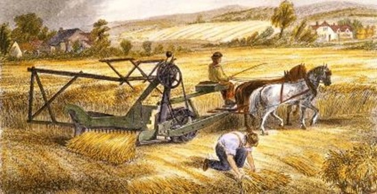 Dau vet thang ngay hinh anh