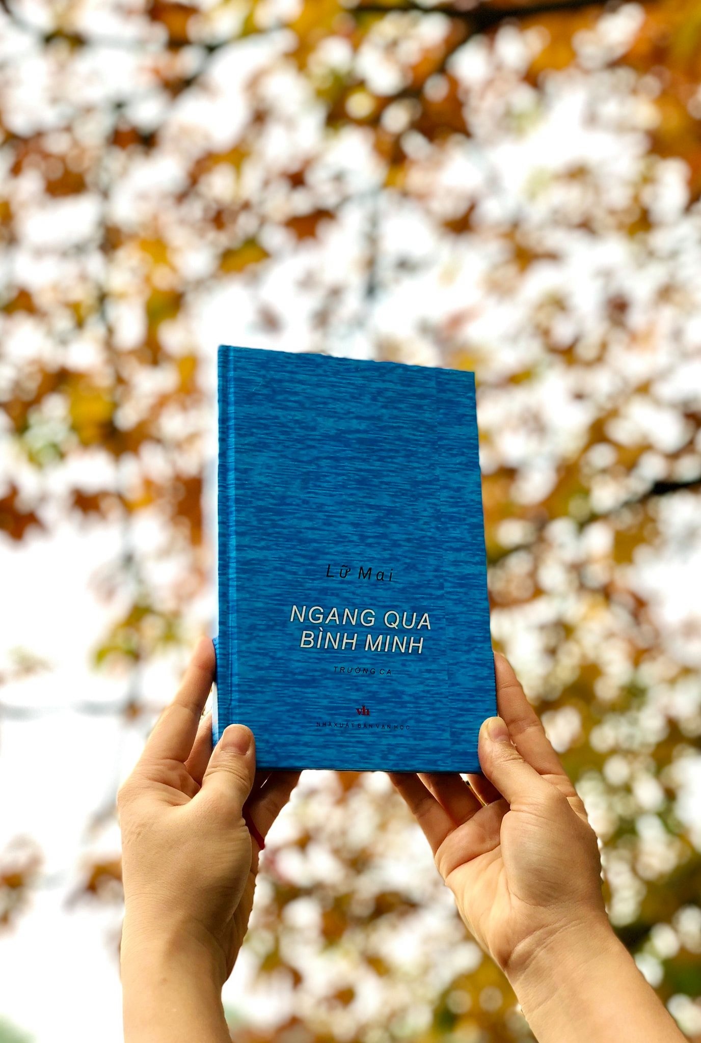 Lu Mai,  bien gioi va hai dao,  hai ly,  song bac dau anh 1