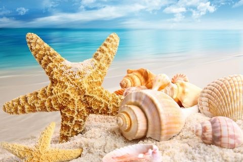 Giu rieng minh mot trung duong ngat xanh hinh anh