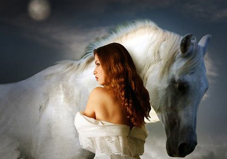 'Ngua trang' hinh anh