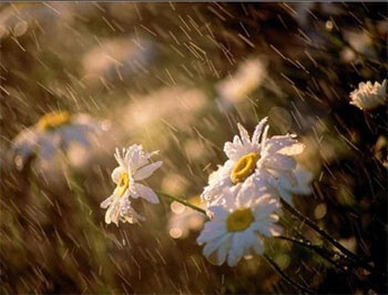 Mua thang gieng hinh anh