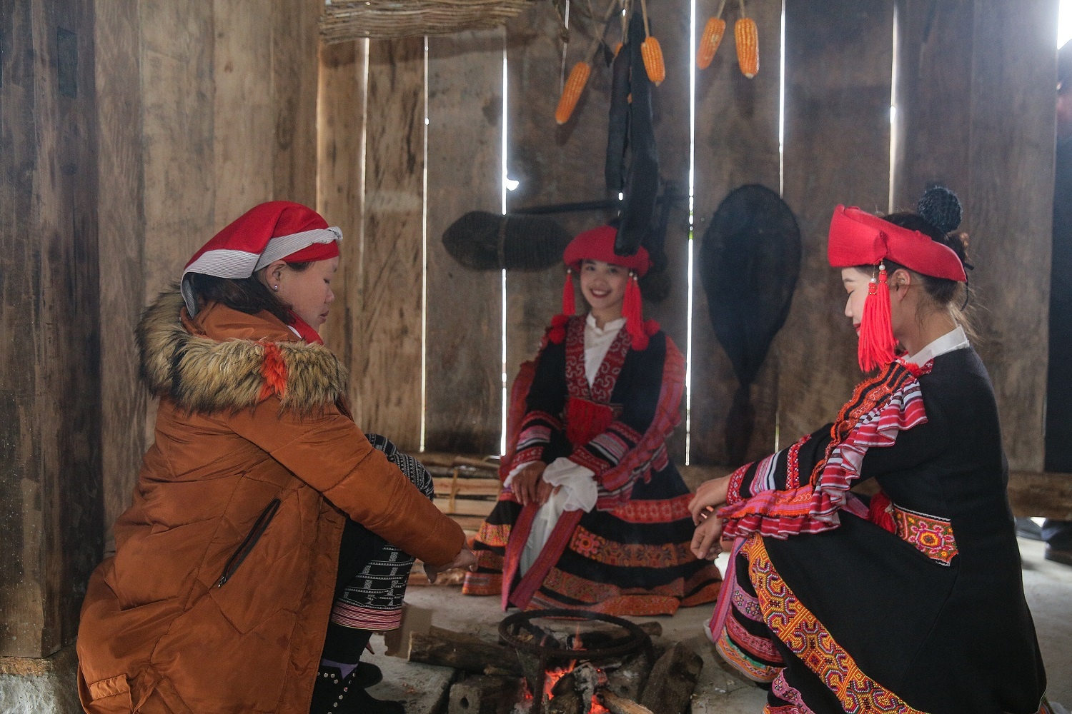 Loi bua ngai hinh anh