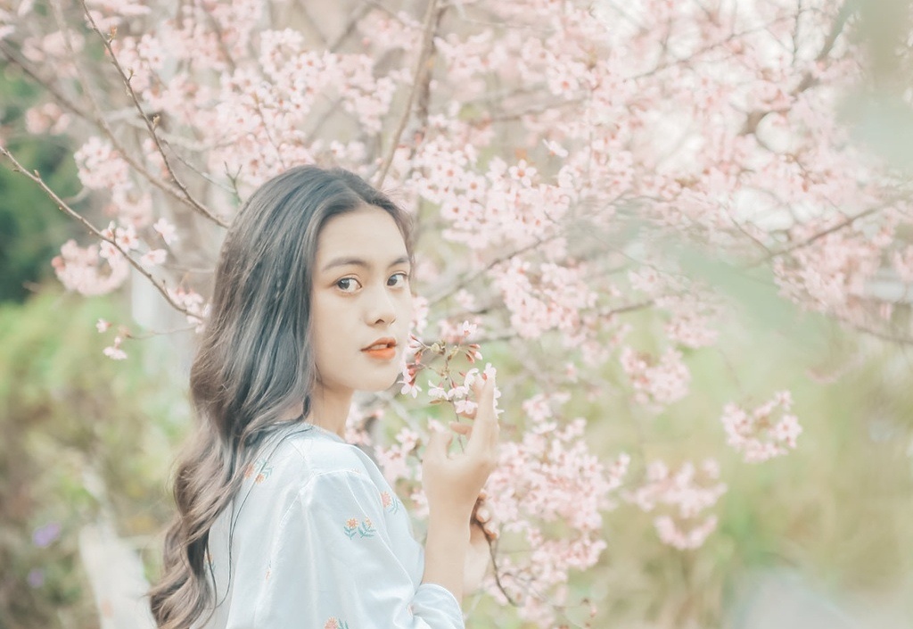 Loi mua xuan va tinh yeu cuoc song hinh anh