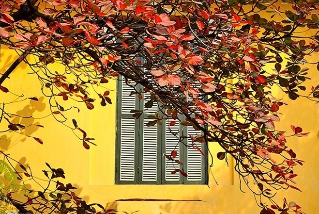 Em co mo cung anh? hinh anh