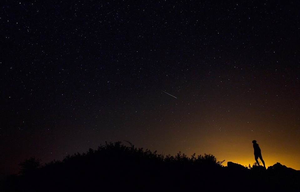 Em tua vao anh, anh tua vao cay dang hinh anh