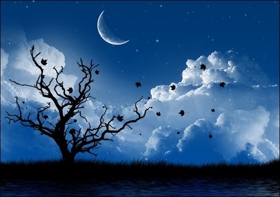 Ben kia trang la hat vao troi hinh anh