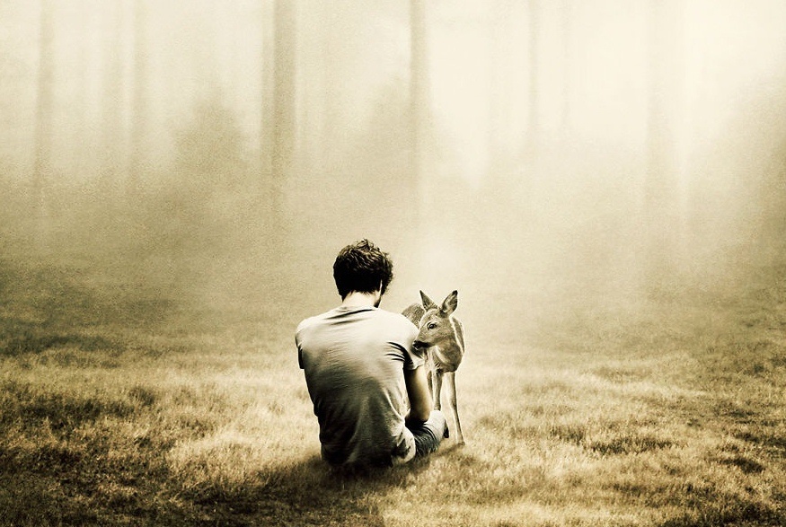 Ta lon len boi kiem tim… hinh anh