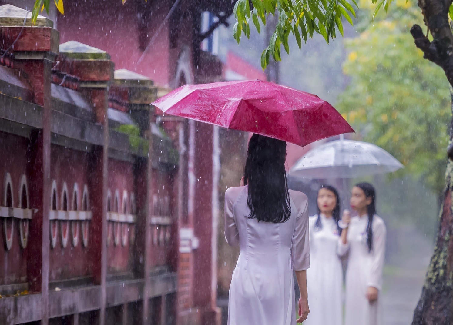 Thoi quen di minh tung mo mong hinh anh