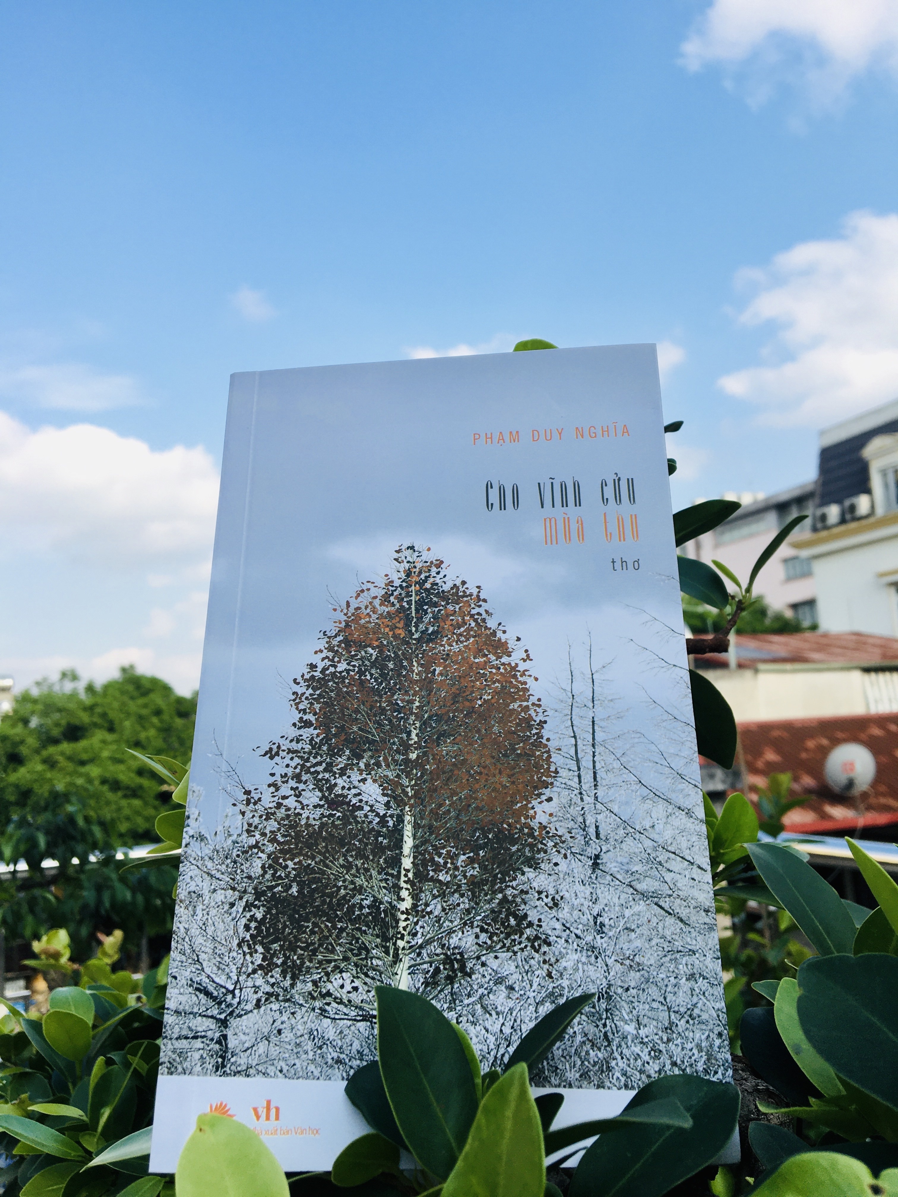 Tho ve ngay xua anh 1