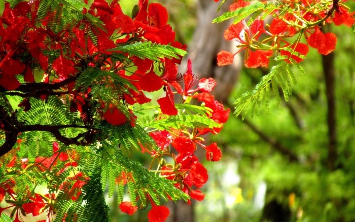 Dam say cung chi mot thoi hinh anh