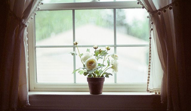 Ao anh xanh hinh anh