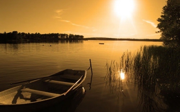 Noi nho bay theo soi nang hinh anh