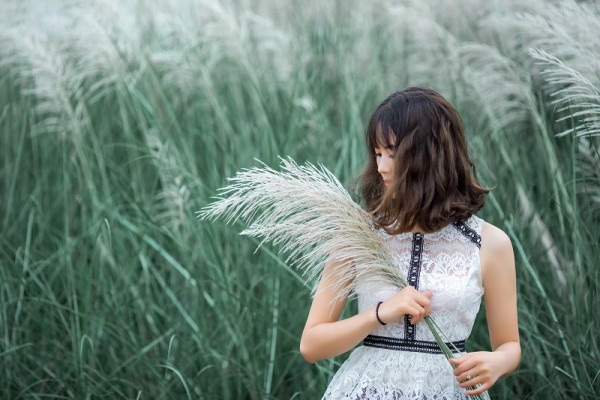 Giac mo nao tren co van con xanh hinh anh