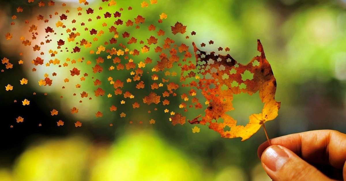 'Nhat nang' hinh anh