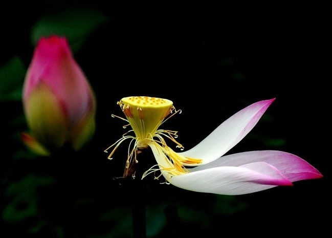 Xanh xua ben ai? hinh anh