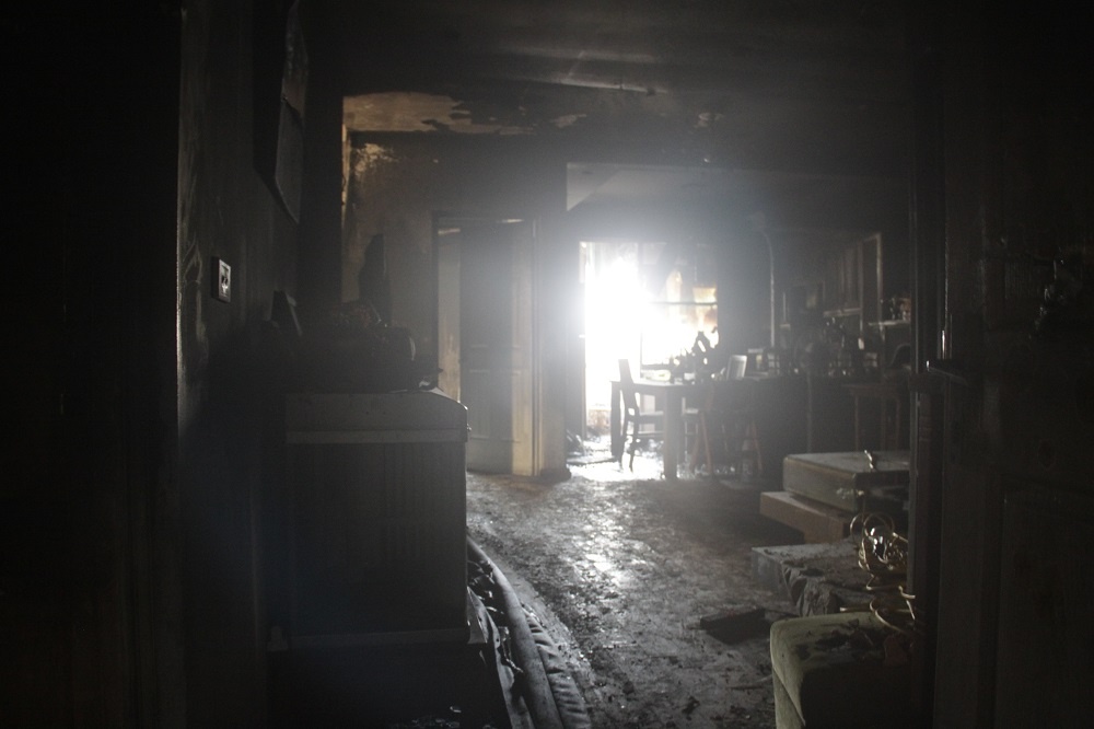 hoa hoan nghi do thay cong to dien anh 3