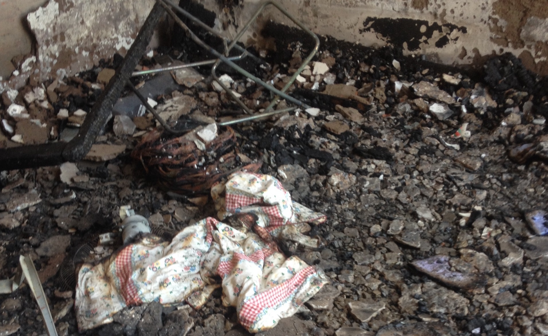 hoa hoan nghi do thay cong to dien anh 7