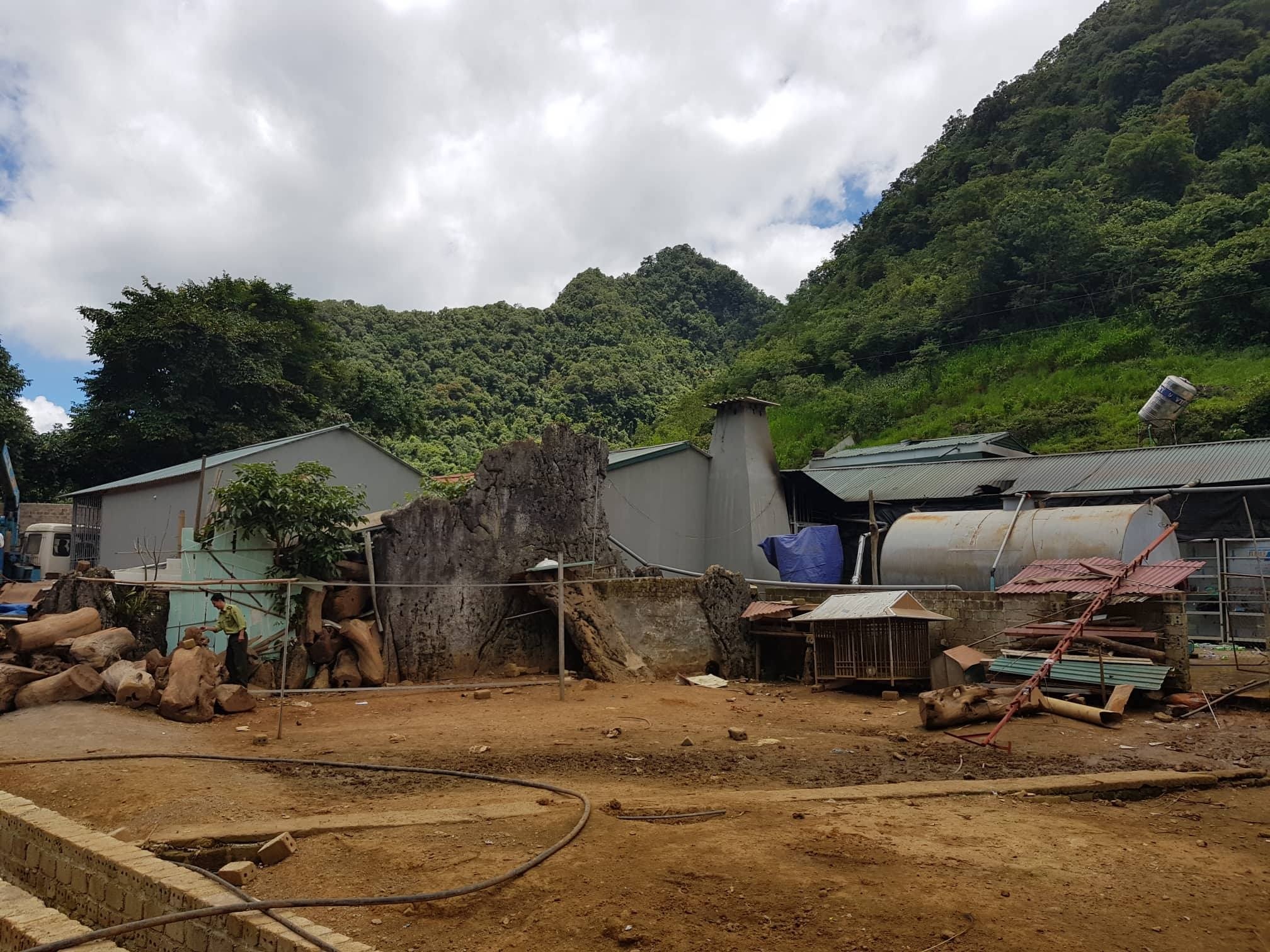 Ong trum ma tuy anh 2