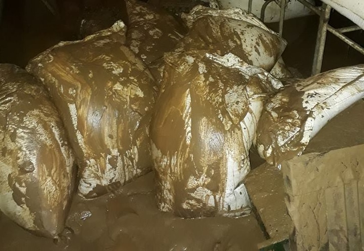 lu ap ve diem truong vung cao anh 1