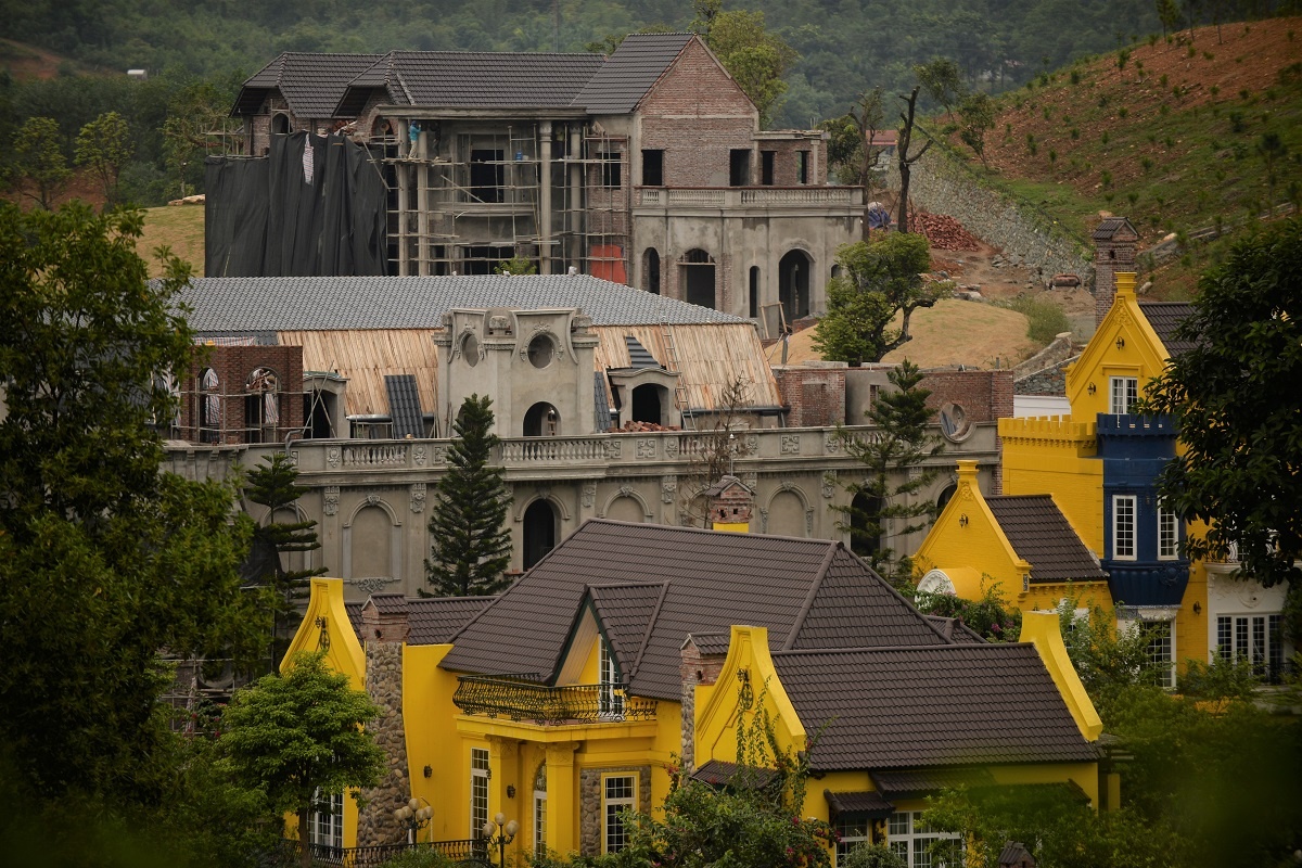 'Biet phu' moc len giua rung phong ho, nguoi dan dia phuong noi gi? hinh anh