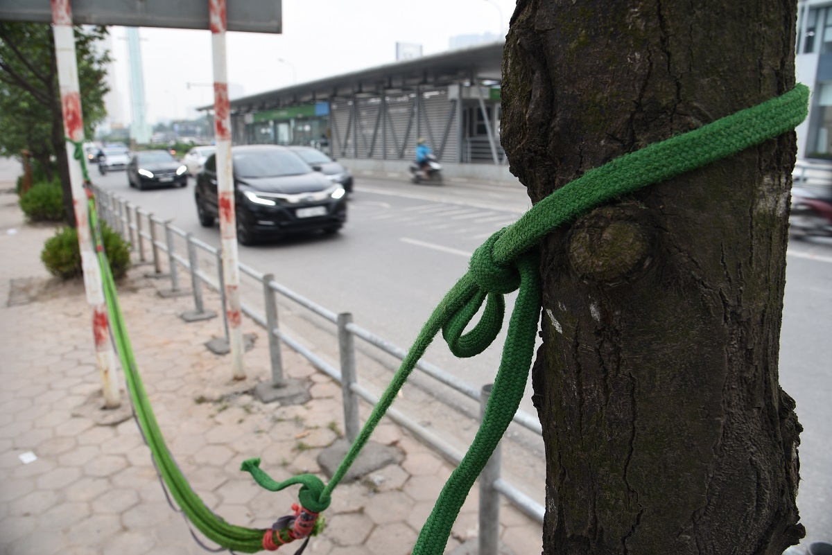 duong To Huu gan hang rao anh 13