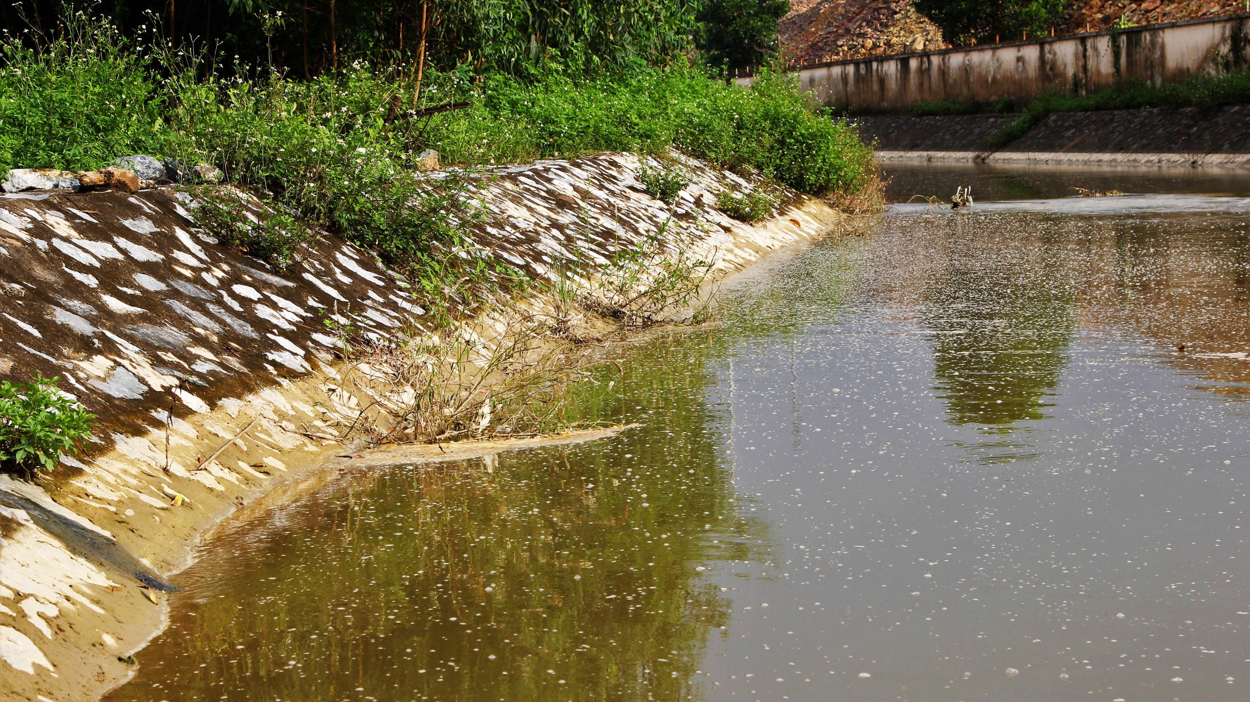 dan song quanh Bai rac Nam Son anh 4