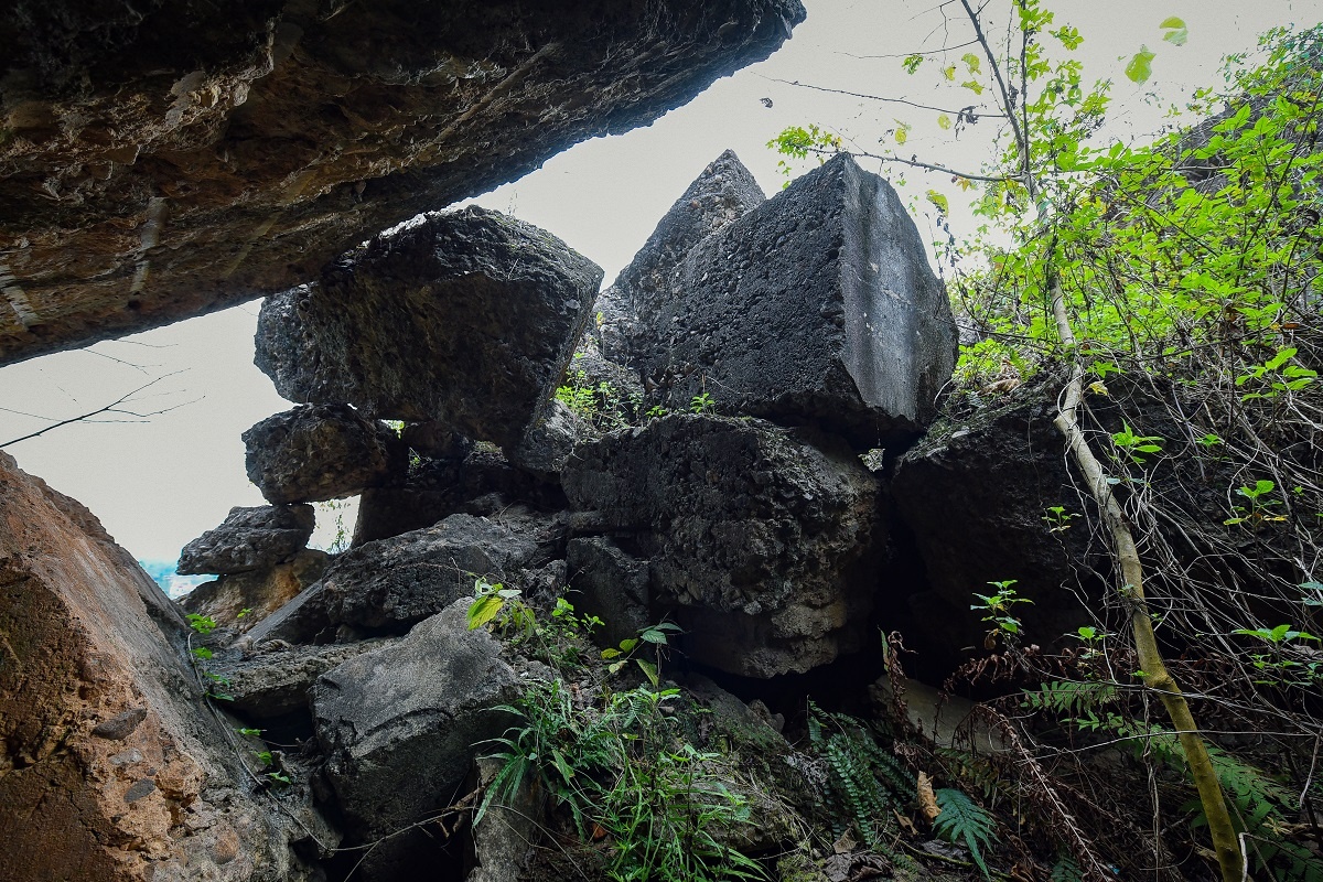 phao dai Dong Dang anh 8