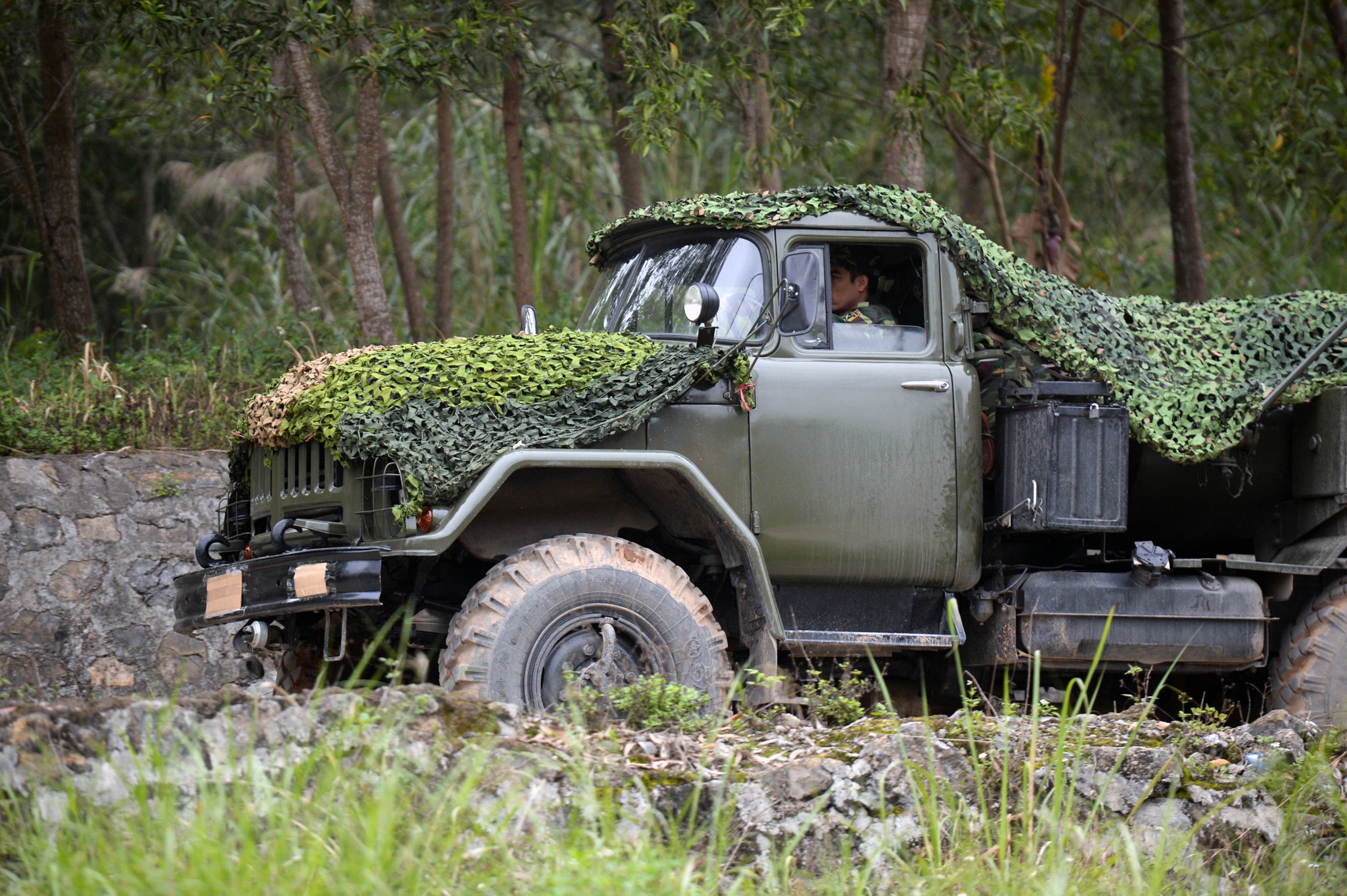 ga Dong Dang don Kim Jong Un anh 5