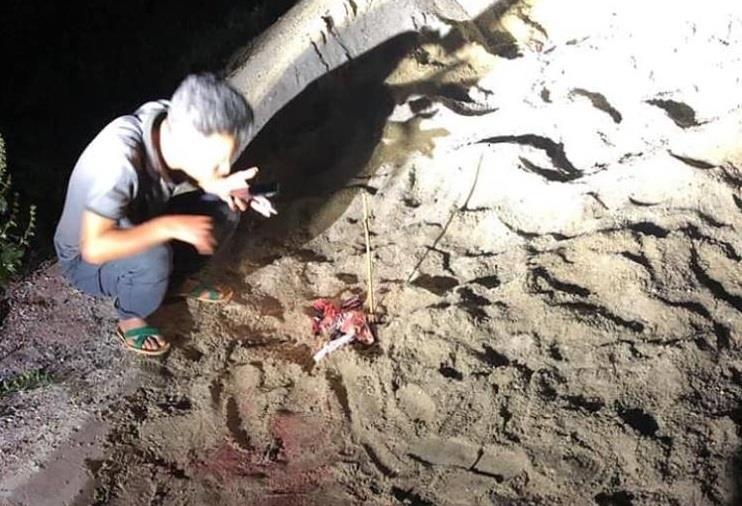 cho can tre em o Hung Yen anh 1