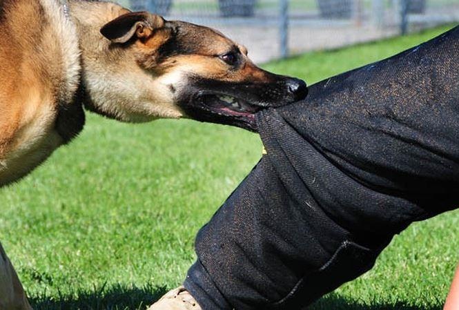 Hai cha con tu vong sau 2 thang bi cho can hinh anh