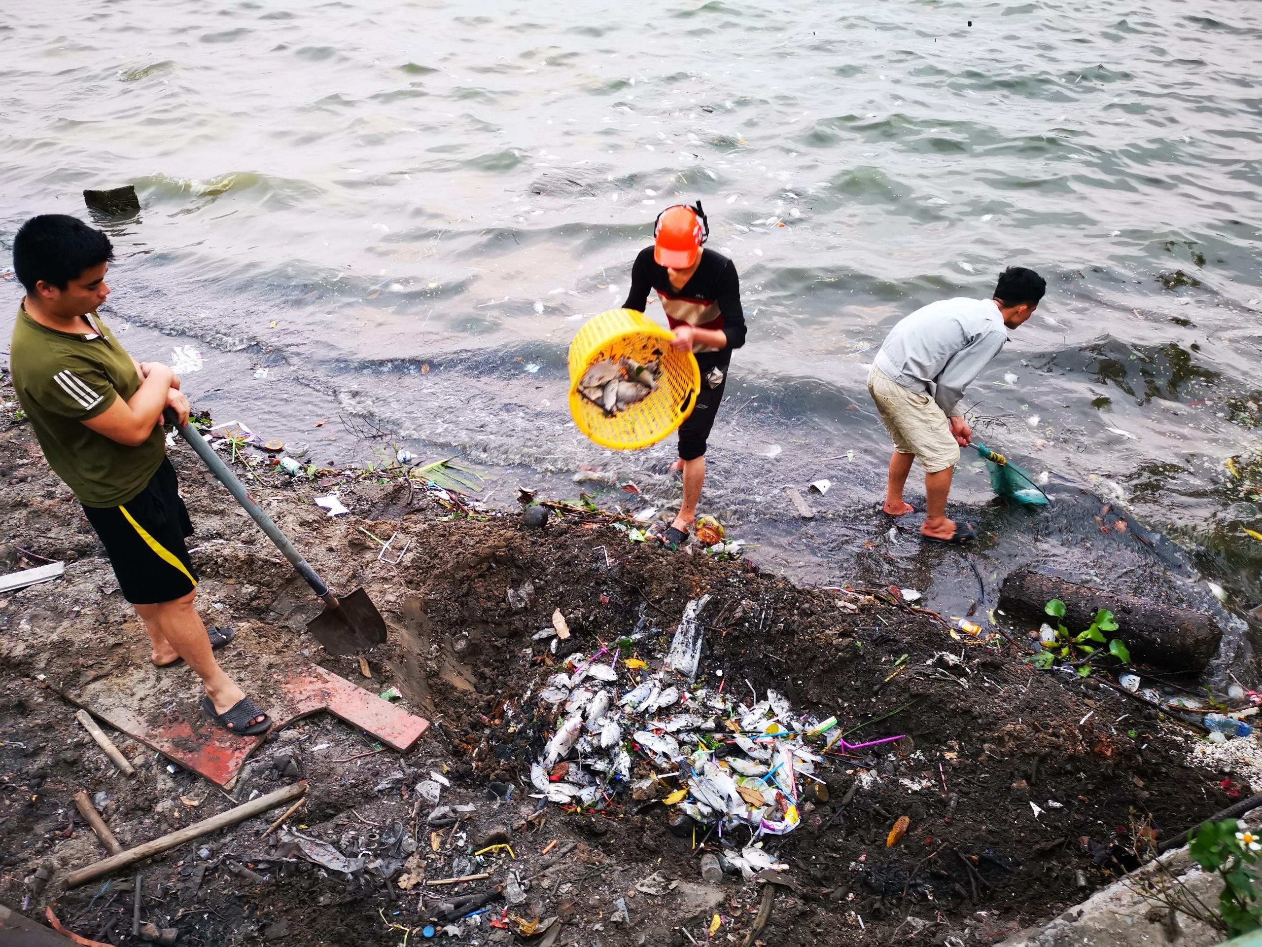 Ho Tay ca chet hang loat anh 7