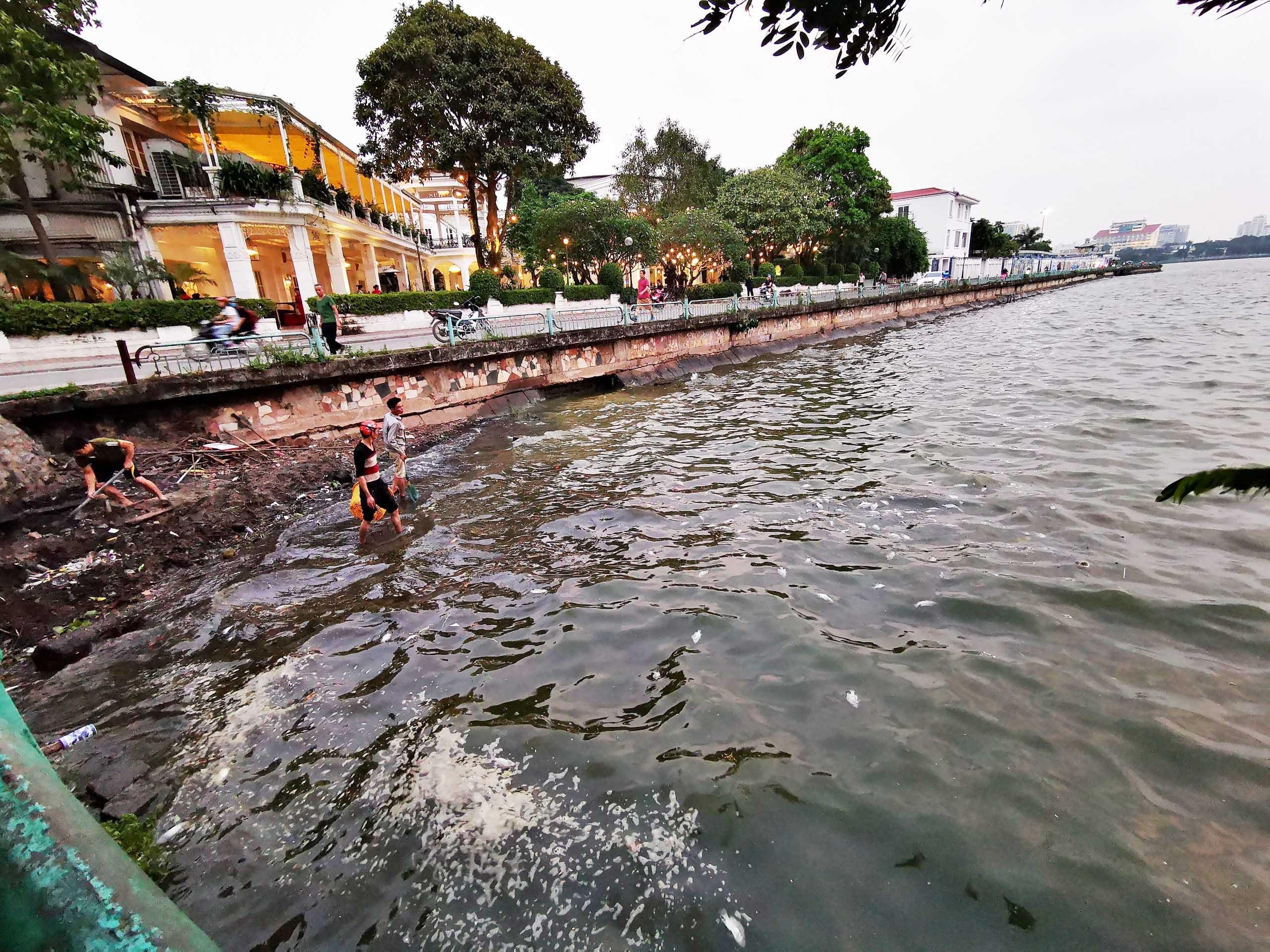 Ho Tay ca chet hang loat anh 6