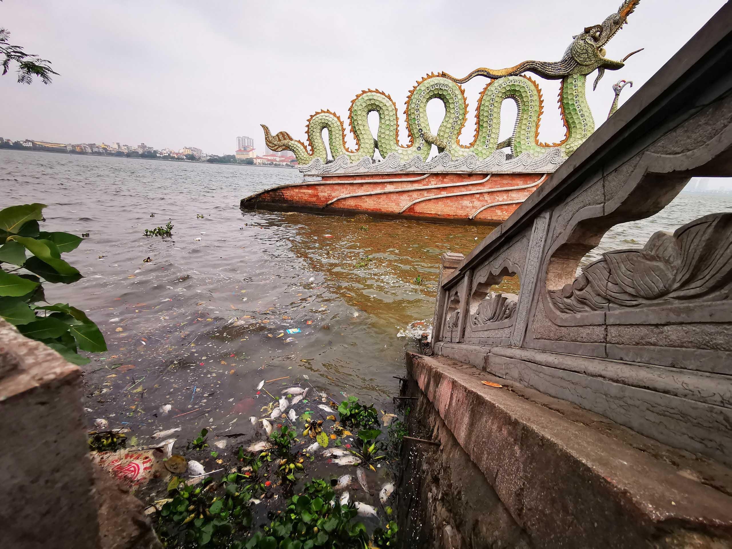 Ho Tay ca chet hang loat anh 1