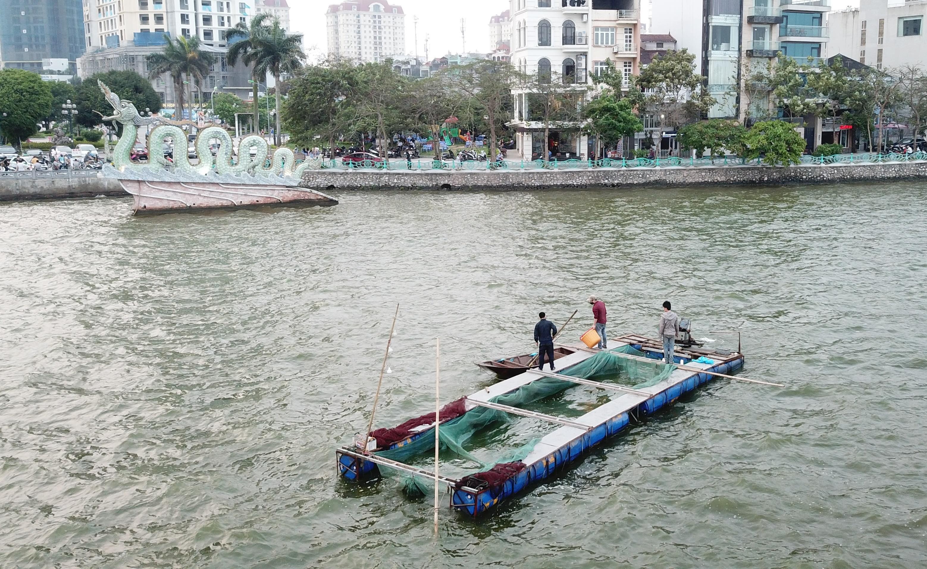 Ho Tay ca chet hang loat anh 4