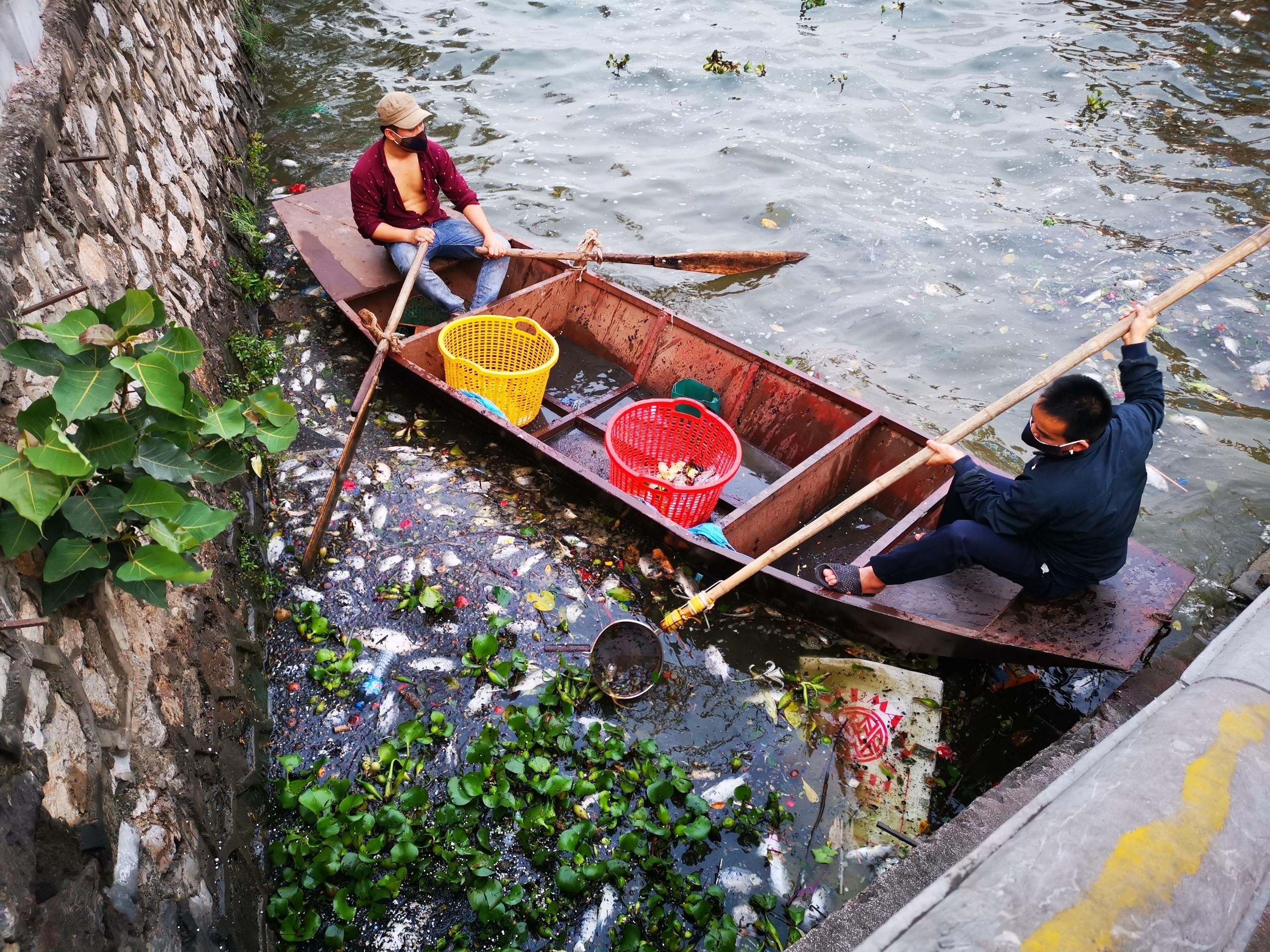 Ho Tay ca chet hang loat anh 5