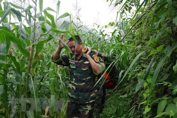 Bo doi bien phong Lao Cai tim thay thi the cu ba bi lac trong rung hinh anh