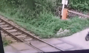 Mot phu nu bi tau hoa tong chet khi co lao qua duong ngang hinh anh