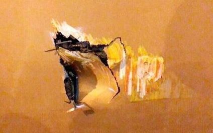 Xe thang dam thung vo may bay Boeing 787 tai Tan Son Nhat hinh anh