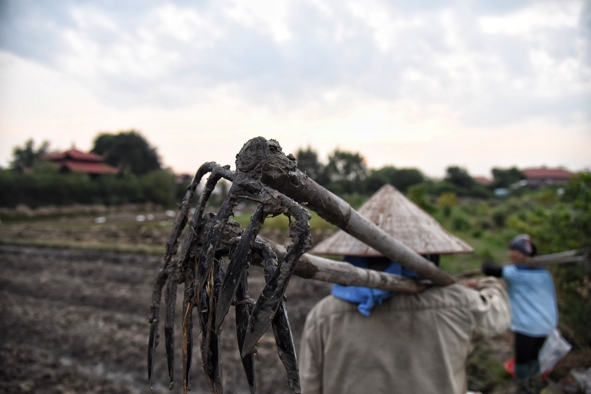 biet phu cua su Thich Thanh Toan anh 14