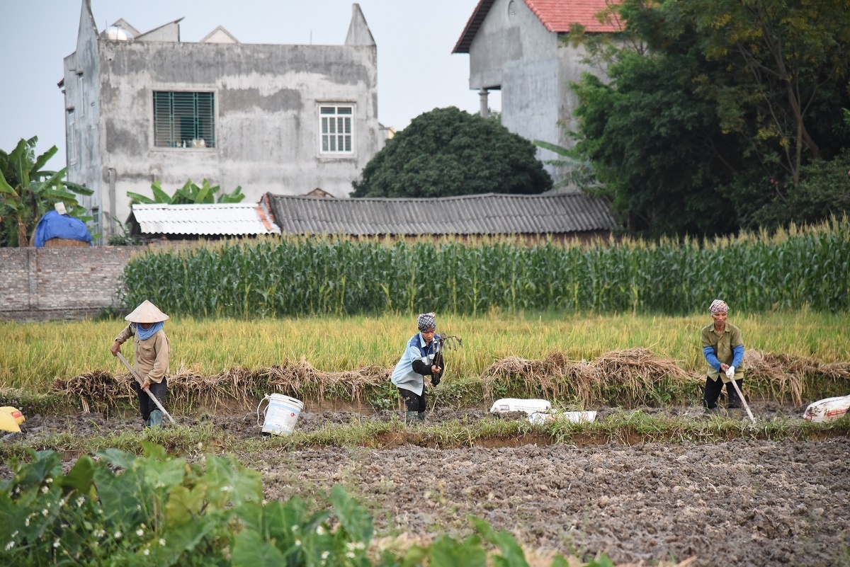 biet phu cua su Thich Thanh Toan anh 13