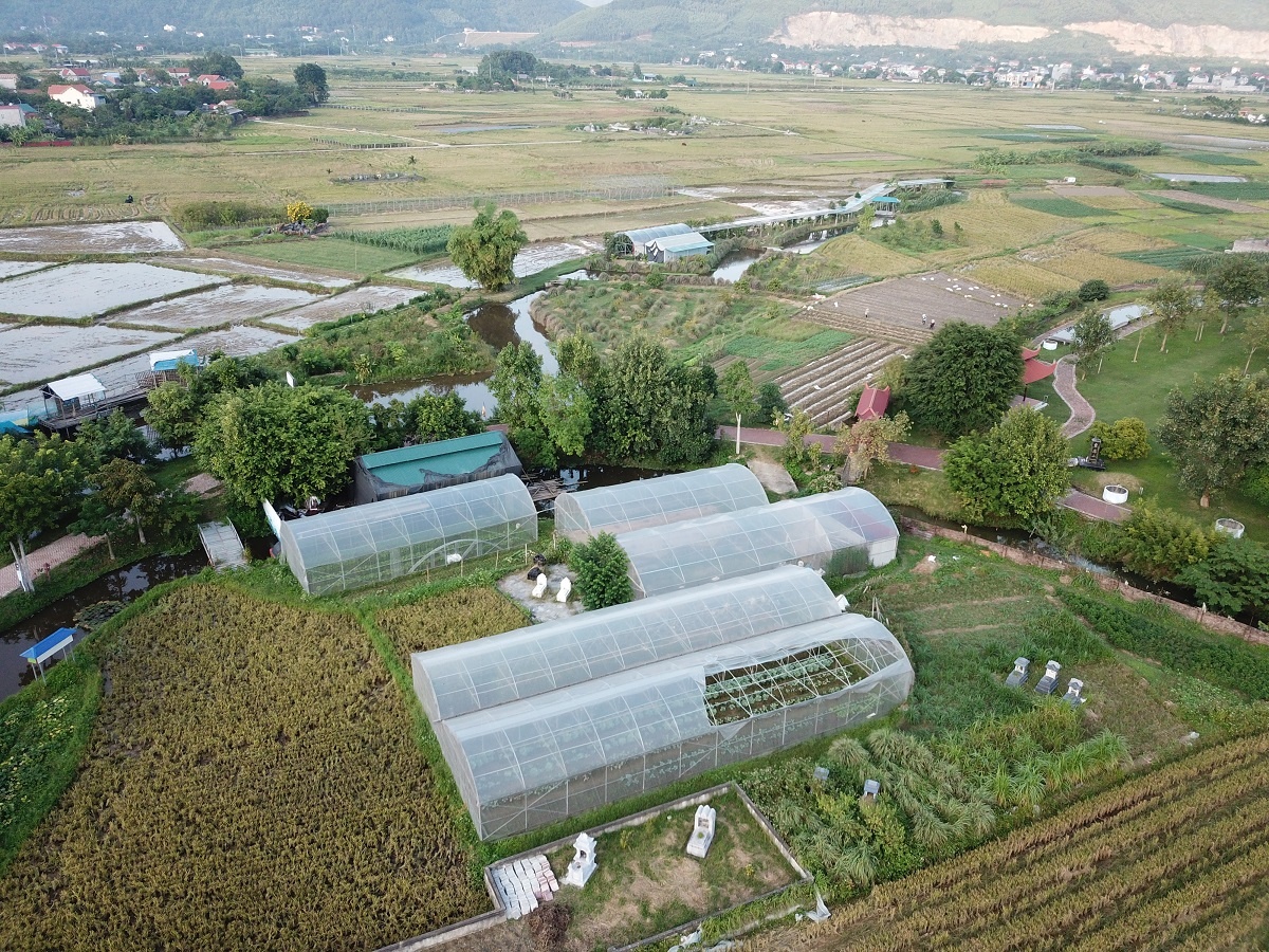 biet phu cua su Thich Thanh Toan anh 12