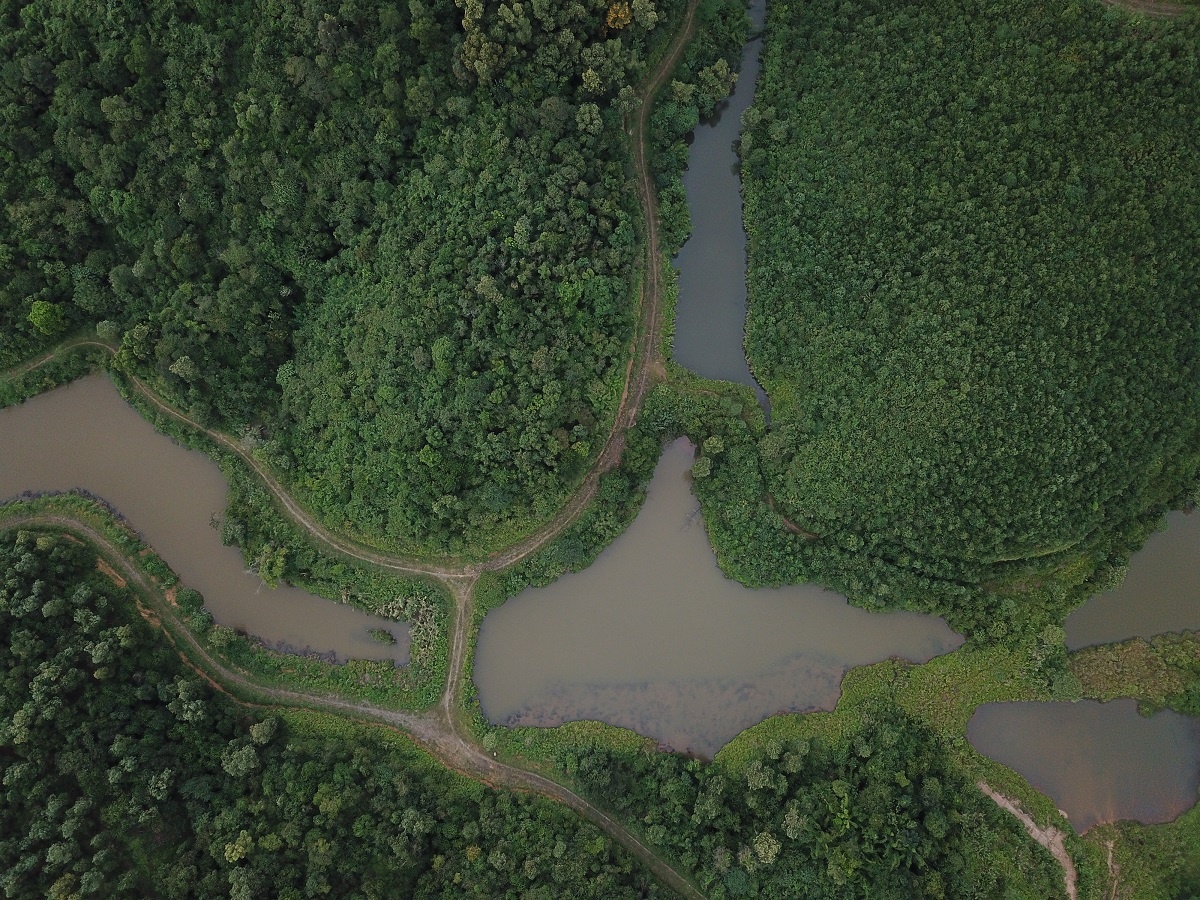 o nhiem nuoc song Da anh 2